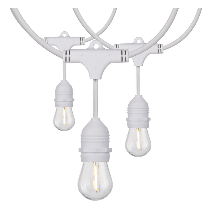 Satco S8038 24-ft 12 Lamps LED String light