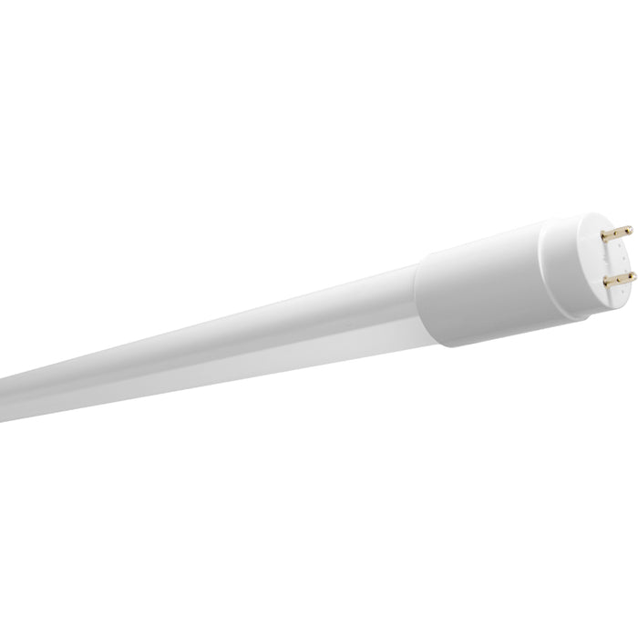 Westgate T8-4FT-TYPB 4FT 18W LED T8 Linear Lamp, 4000K, 12-Pack