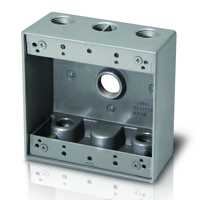 Westgate W2B75-5 Two-Gang Weatherproof Box, 3/4" Trade, 5 Outlet Holes