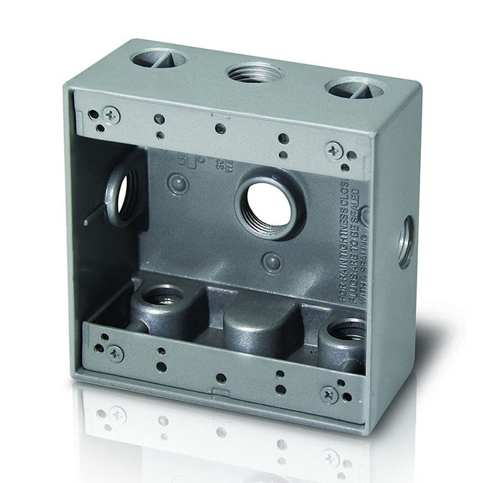 Westgate W2B75-6X Two-Gang Weatherproof Box, 3/4" Trade, 6 Outlet Holes
