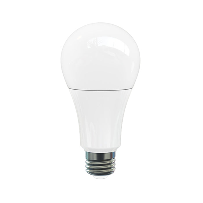 Westgate 9W A19 LED Lamp, Med Base, Dimmable, 3000K, 40-Pack