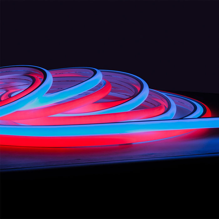 Diode LED Neon Blaze 24V 1.22W/ft. Diffused Top/Side Bending LED Strip Light Wet Location, 65.6 ft.