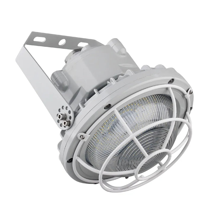 Westgate EXPR-30-60W-WGD Dome Wire Guard for EXPR 30W-60W