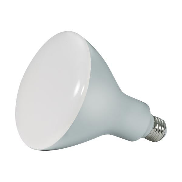 Satco S28597 13W BR40 LED Bulb, 5000K